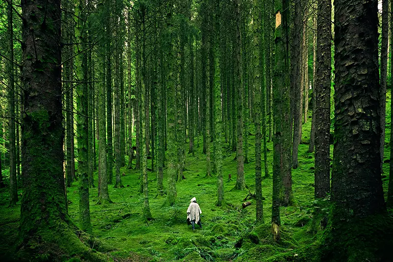 persoon tussen bomen